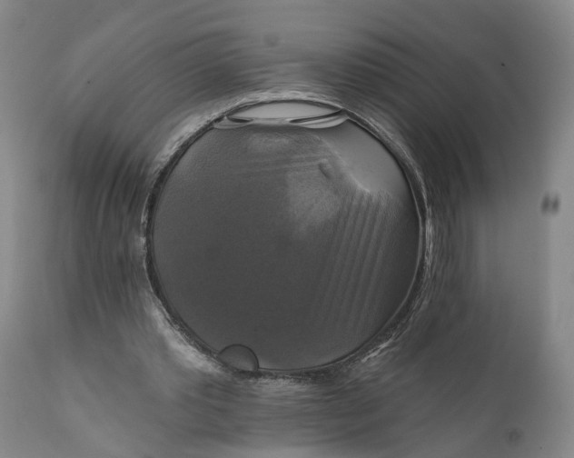 X0000111240389200907161346