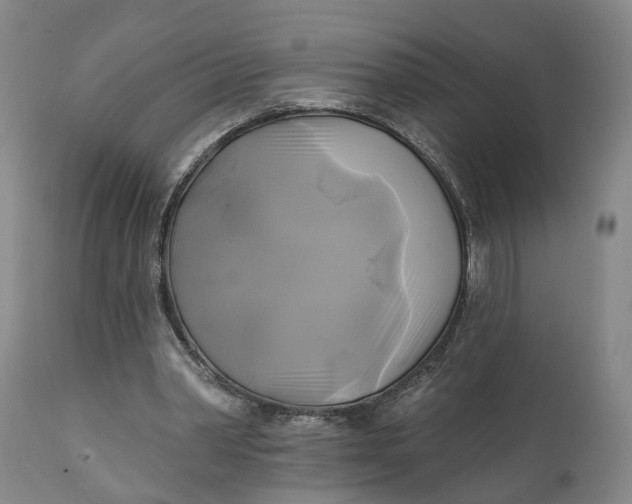 X0000111240390200907161346