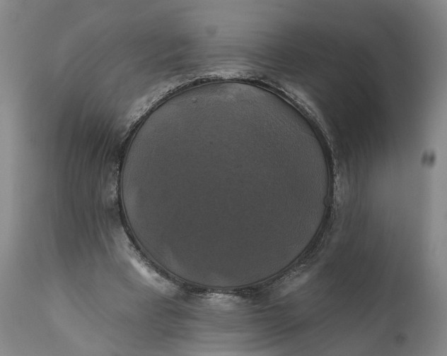 X0000111240393200907161346