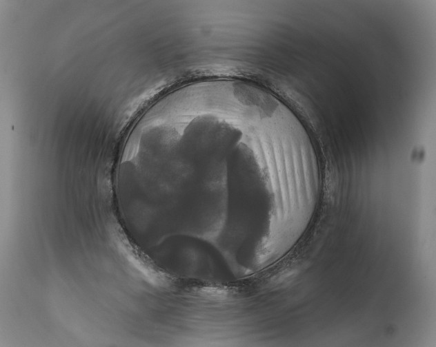 X0000111240394200907161346