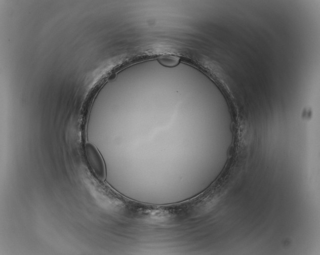 X0000111240395200907161346