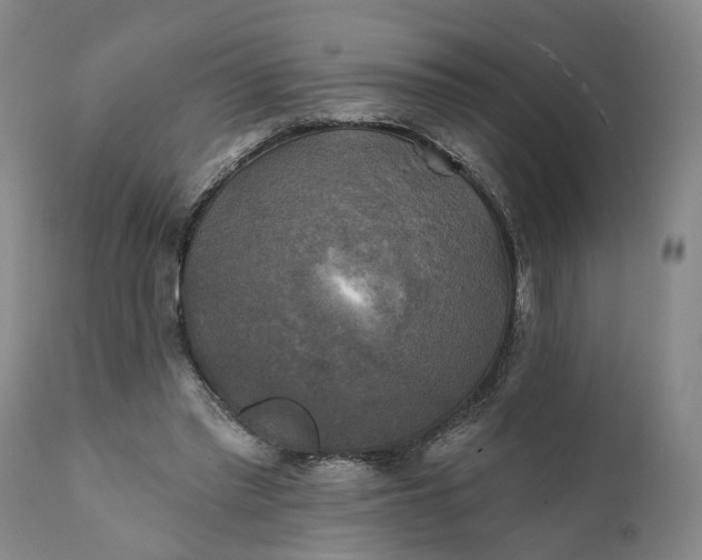 X0000111240397200907161346