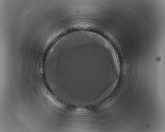 X0000111240399200907161346