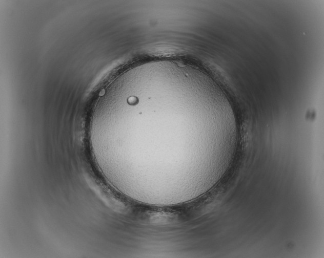 X0000111240400200907161346