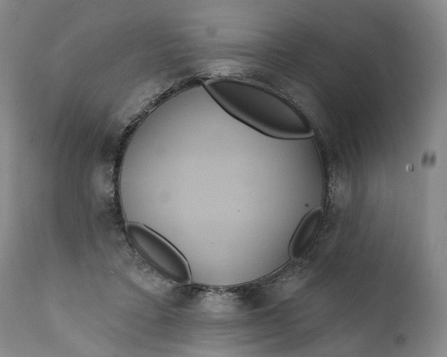 X0000111240403200907161346