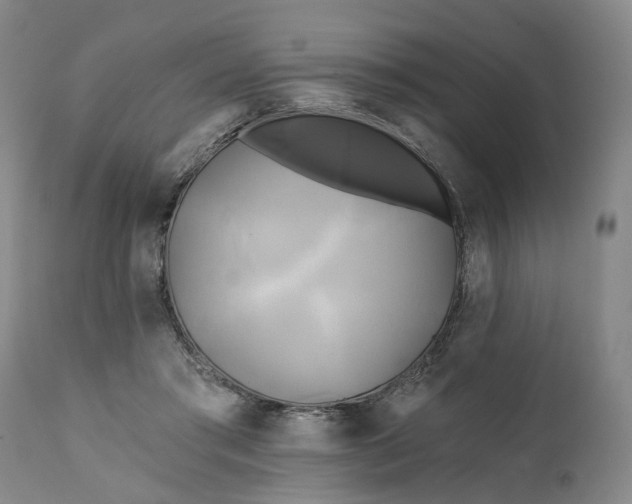 X0000111240405200907161346