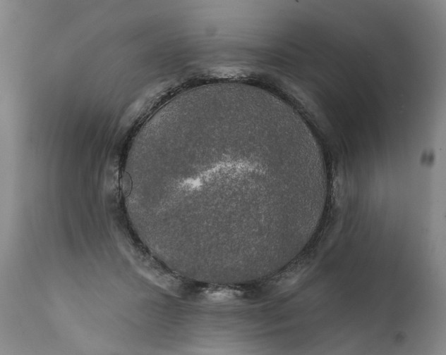 X0000111240407200907161346