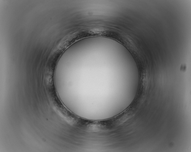 X0000111240408200907161346