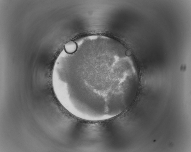 X0000111240411200907161346