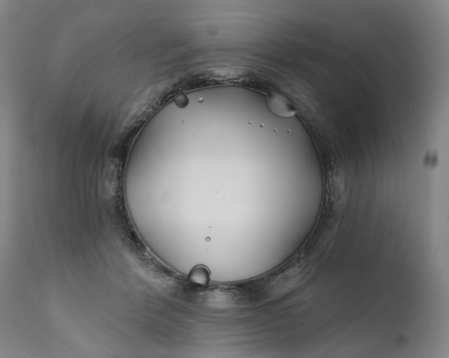 X0000111240412200907161346