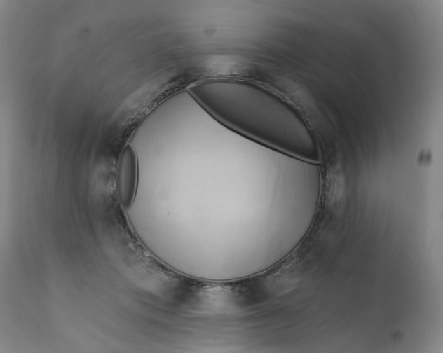 X0000111240413200907161346