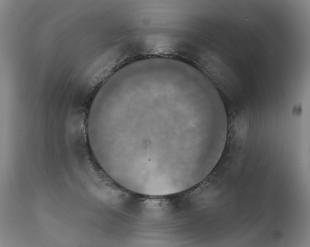 X0000111240415200907161346