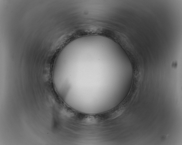 X0000111240416200907161346