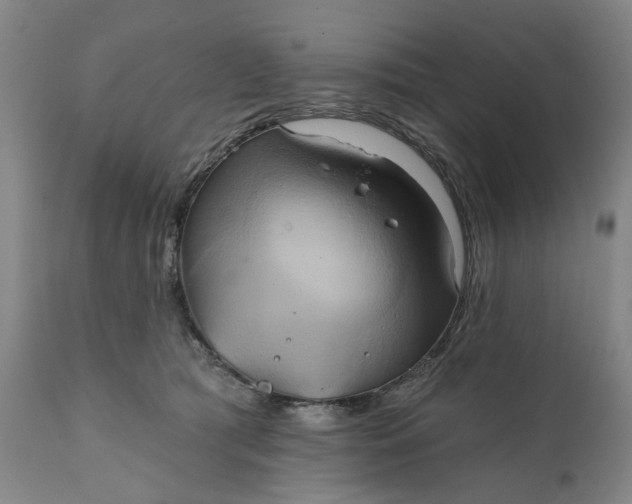 X0000111240417200907161346