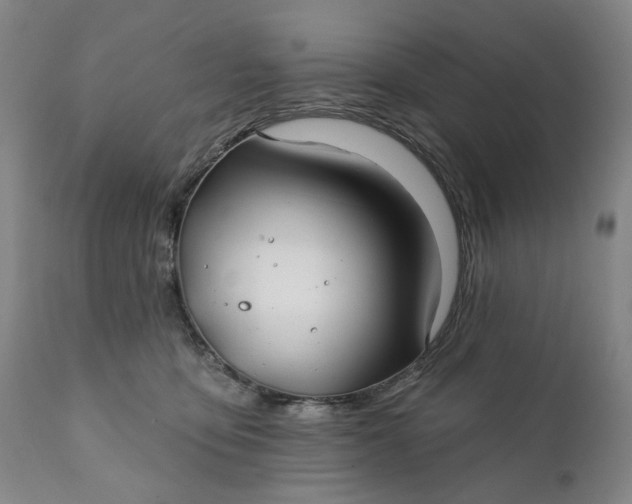 X0000111240419200907161346