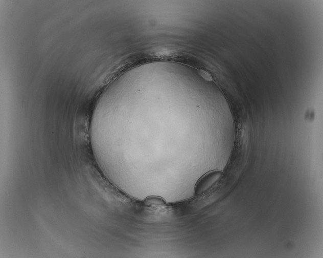 X0000111240421200907161346