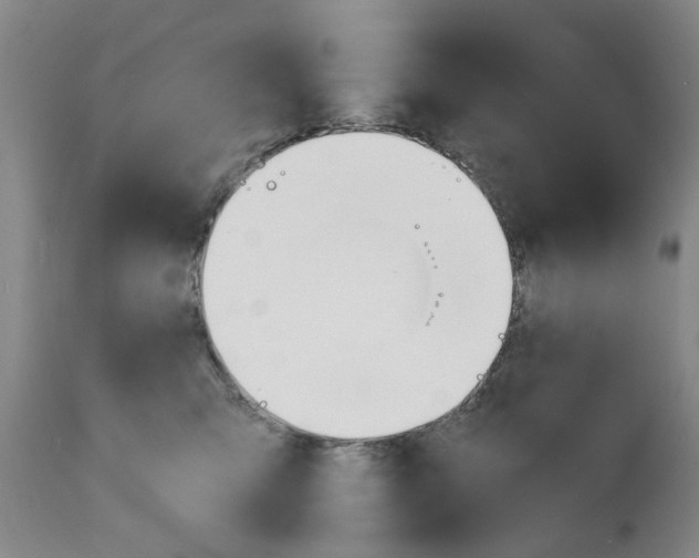 X0000111240423200907161346