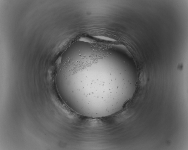 X0000111240424200907161346