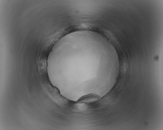 X0000111240425200907161346