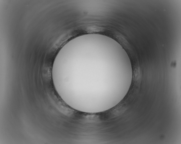 X0000111240426200907161346