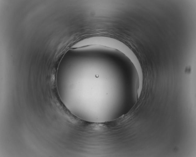 X0000111240427200907161346