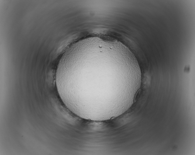 X0000111240428200907161346