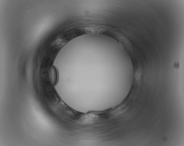 X0000111240429200907161346