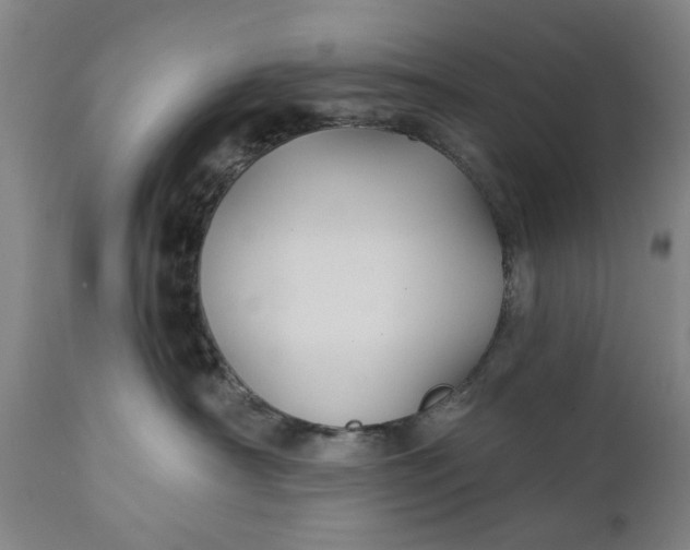 X0000111240430200907161346