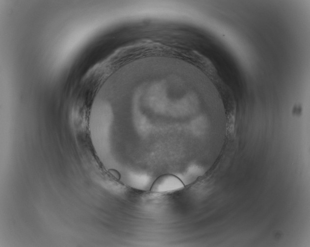 X0000111240431200907161346