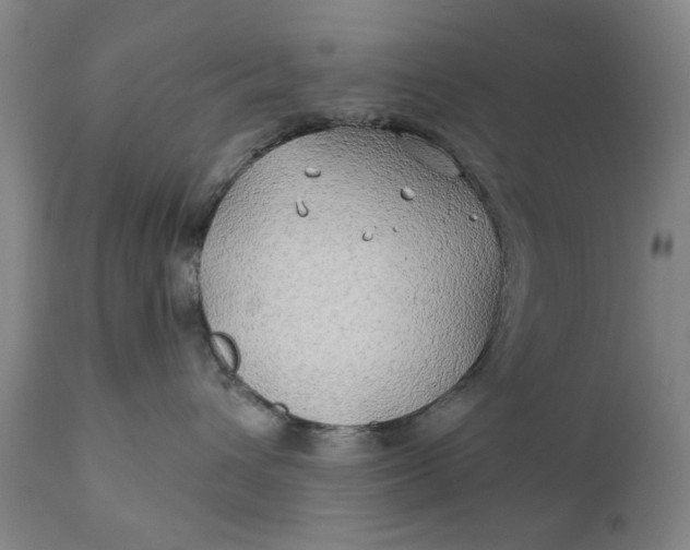 X0000111240432200907161346