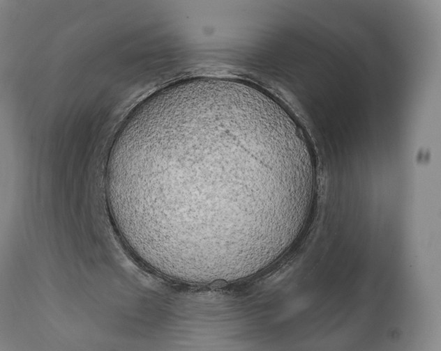 X0000111240433200907161345