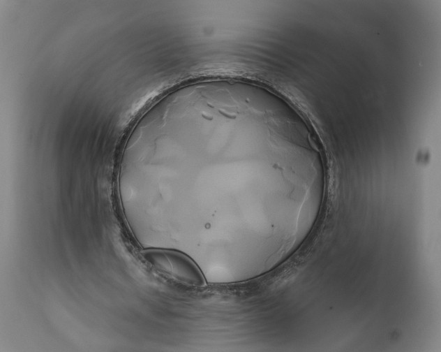 X0000111240434200907161345