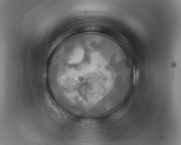 X0000111240435200907161345