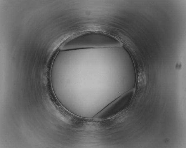 X0000111240436200907161345