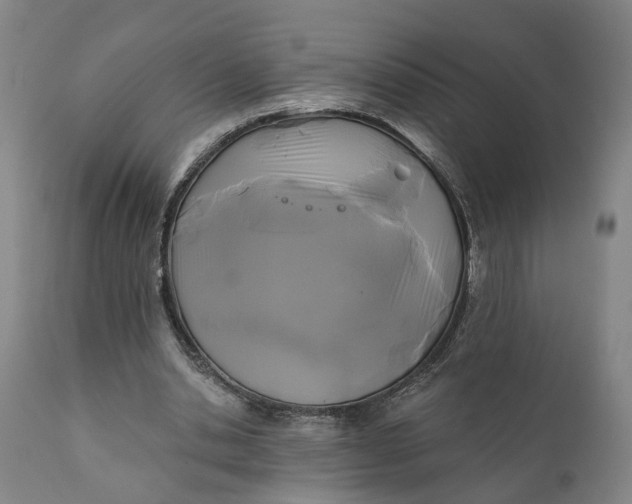 X0000111240438200907161345