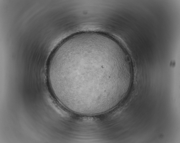 X0000111240439200907161345