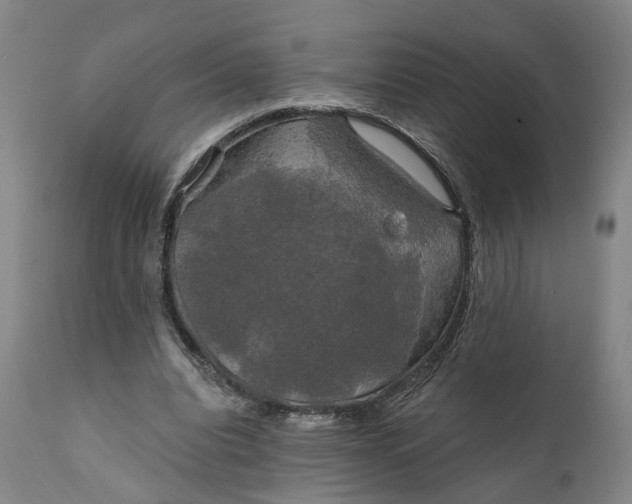 X0000111240440200907161345