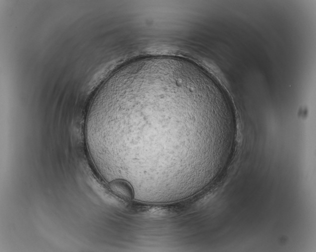 X0000111240441200907161345