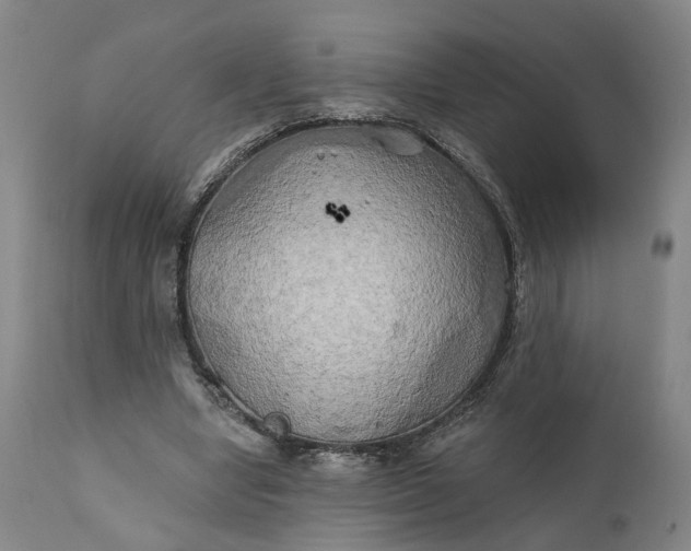 X0000111240442200907161345