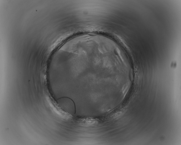 X0000111240443200907161345