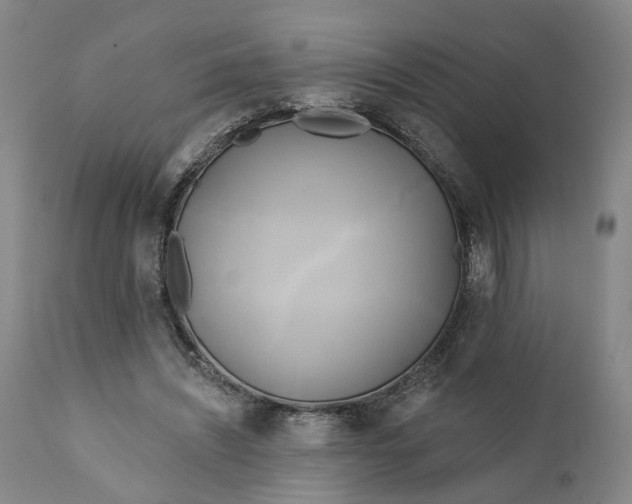 X0000111240444200907161345