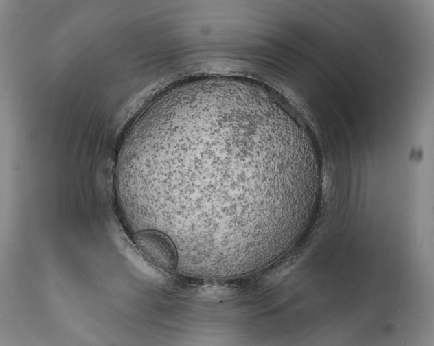 X0000111240445200907161345