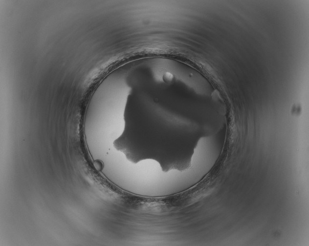 X0000111240446200907161345