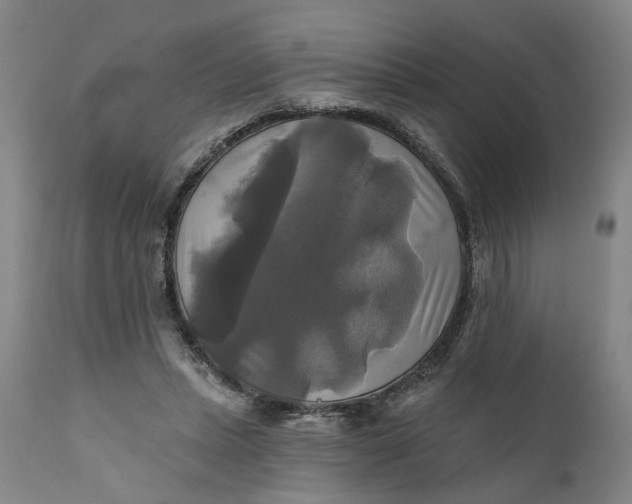 X0000111240447200907161345