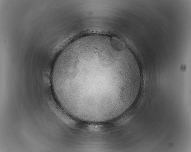 X0000111240450200907161345