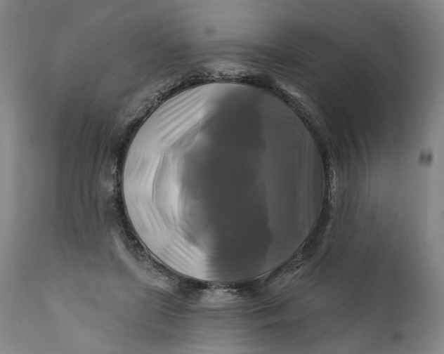 X0000111240451200907161345