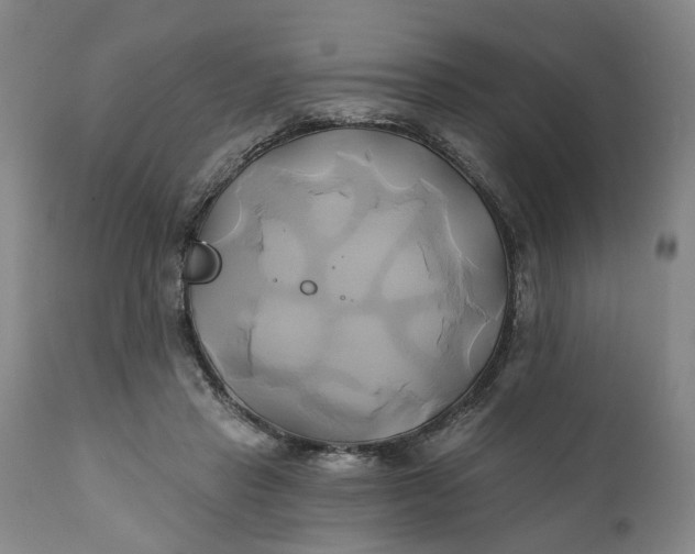 X0000111240453200907161346