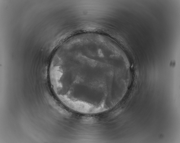 X0000111240454200907161346