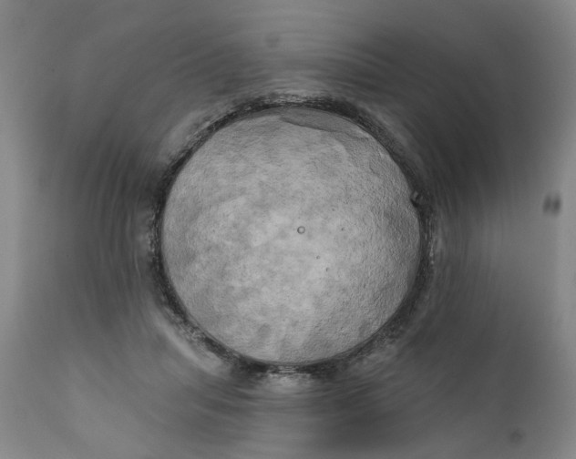 X0000111240455200907161346