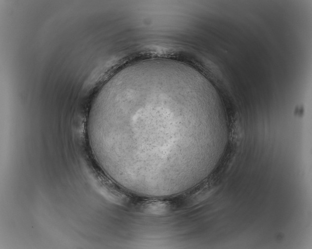 X0000111240456200907161346